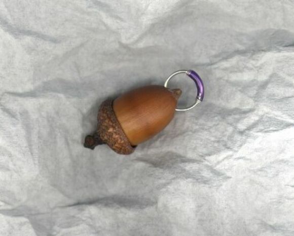 Piercing du gland.jpg